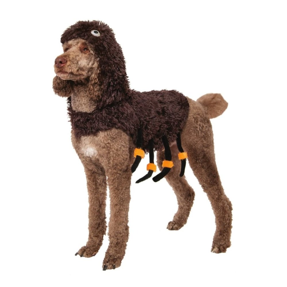 Pet Costume Spider
